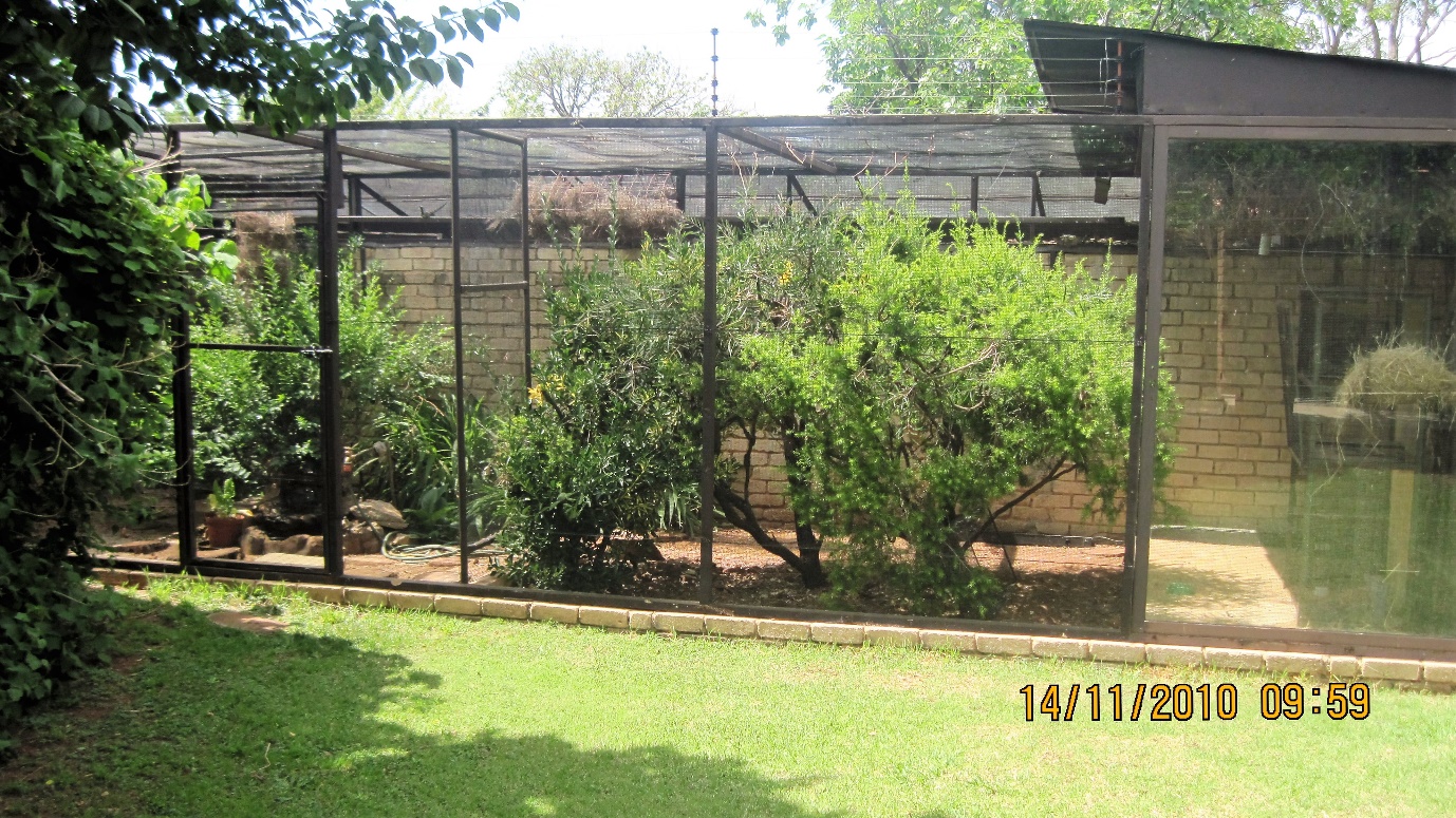 Display aviaries